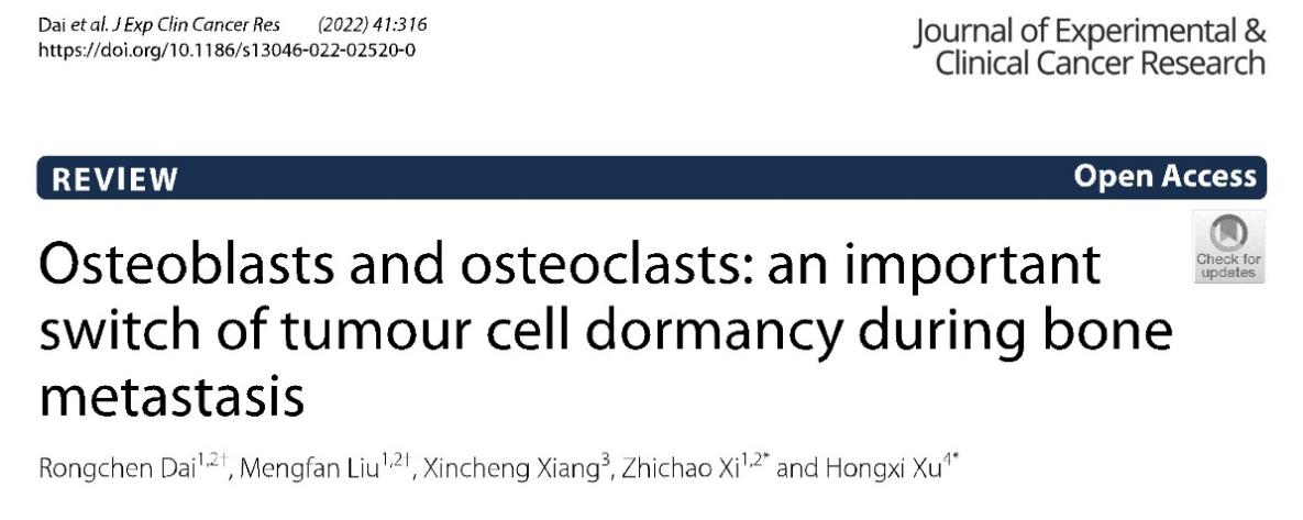首席教授徐宏喜团队发文揭示骨重塑与肿瘤休眠在癌症